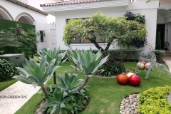 SERVICIO-DE-JARDINERIA-GUAYAQUIL-19