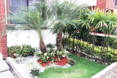 SERVICIO-DE-JARDINERIA-GUAYAQUIL-2