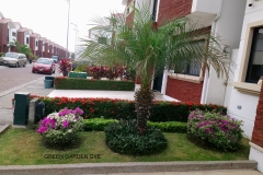 SERVICIO-DE-JARDINERIA-GUAYAQUIL-22