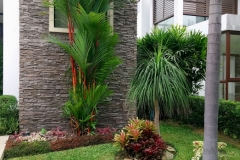 SERVICIO-DE-JARDINERIA-GUAYAQUIL-26