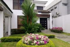 SERVICIO-DE-JARDINERIA-GUAYAQUIL-29