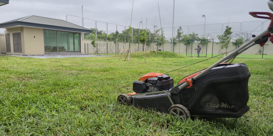 mantenimiento de césped en Guayaquil durante la temporada lluviosa