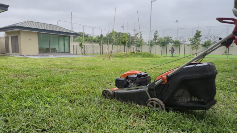 mantenimiento de césped en Guayaquil durante la temporada lluviosa