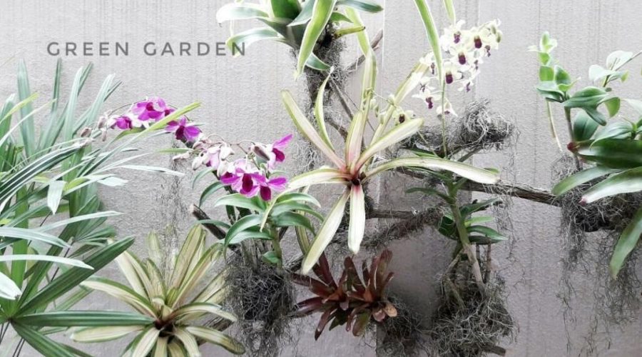 Jardin vertical